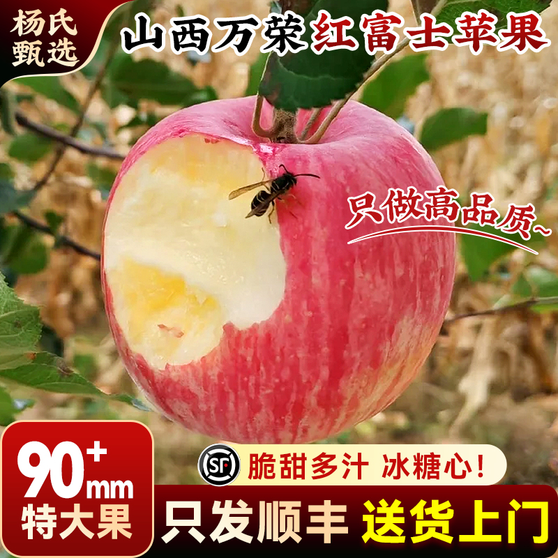 【90mm+】顺丰山西万荣红富士苹果10斤正宗当季现摘新鲜水果整箱