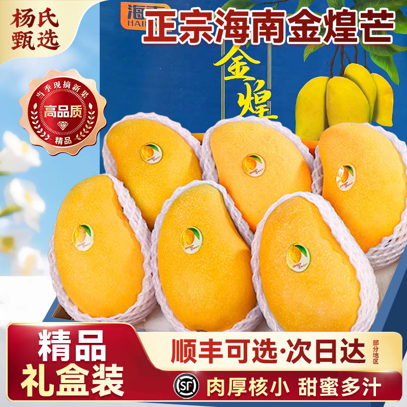 正宗海南金煌芒8斤大果