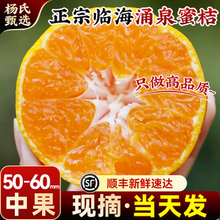 【50-60mm】正宗临海涌泉蜜桔应当季时令新鲜水果10斤薄皮一整箱