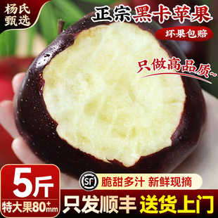 整箱顺丰 正宗甘肃黑卡黑钻天水花牛苹果新鲜水果当季 5斤80mm