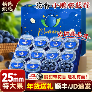 【花香蓝莓】云南高山L25新鲜水果特大当季整箱小懒杯blueberry