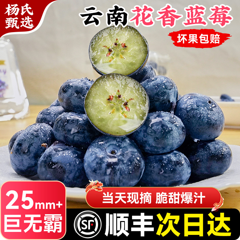 云南蓝莓鲜果特大礼盒高山花香新鲜水果当季顺丰5斤一颗蓝梅枝超