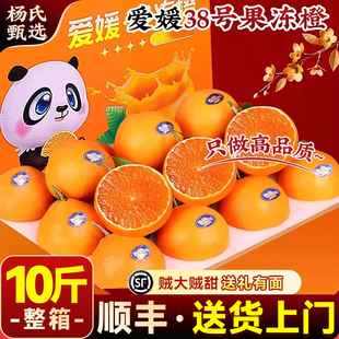 顺丰礼盒10斤四川爱媛38号果冻橙子当季水果新鲜特柑橘官方旗舰店