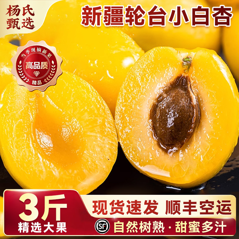 【顺丰包邮】正宗新疆小白杏