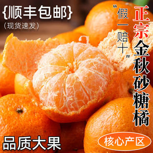 【正宗砂糖橘】金秋小橘子新鲜水果当季时令桔子蜜柑橘薄皮一整箱