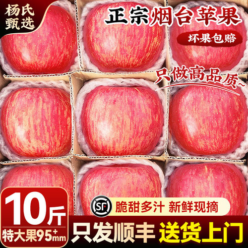 【10斤95mm起】顺丰山东烟台红富士苹果新鲜水果当季冰糖心正宗