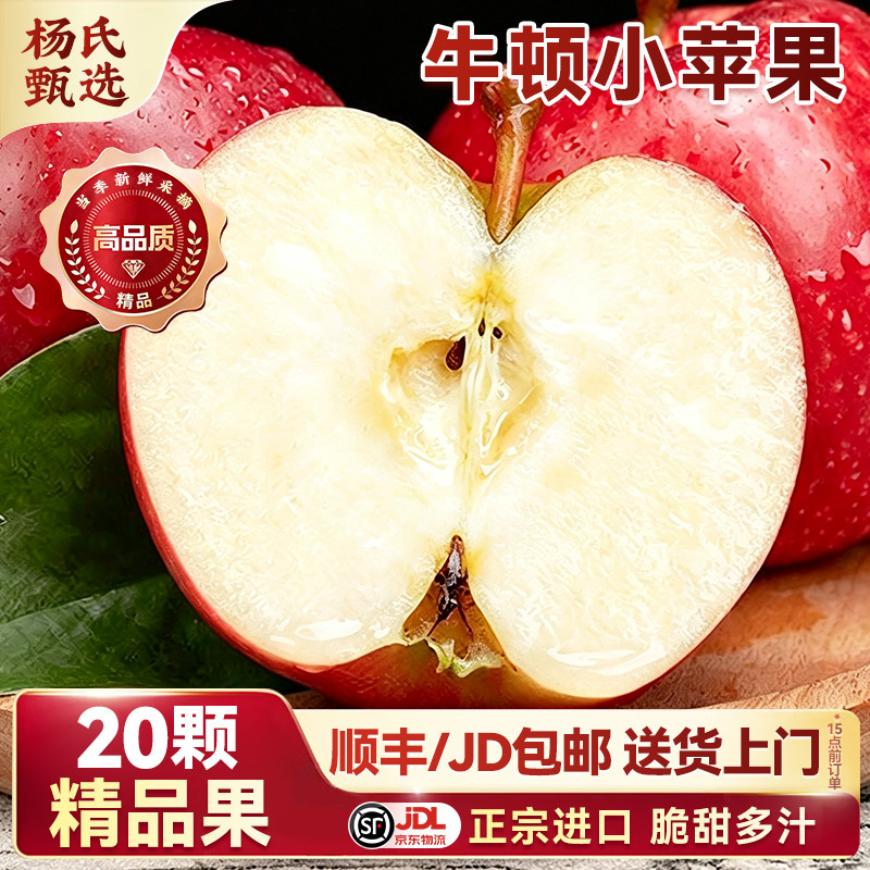 正宗南非牛顿苹果顺丰包邮