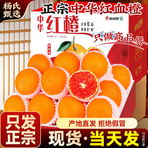 【只发正宗】九月红秭归血橙子果冻新鲜水果应季大果产地直发冰糖