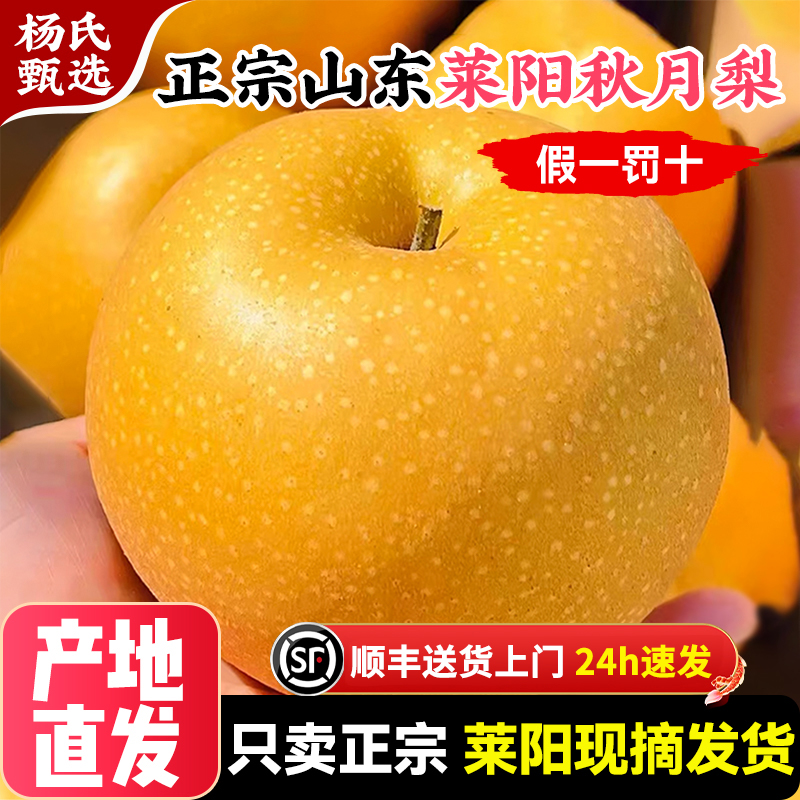 【莱阳产地直发】正宗秋月梨子