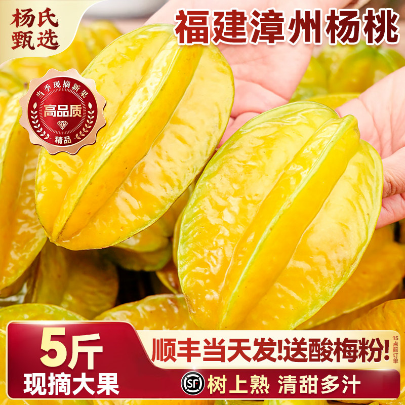 正宗福建漳州甜杨桃5斤