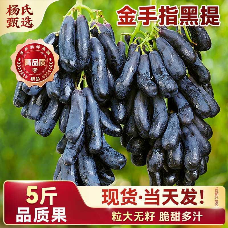 云南金手指葡萄新鲜水果当季蓝宝石美人指无籽提子孕妇黑加仑整箱