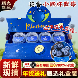 【新鲜现摘】云南高山花香蓝莓l25水果特大当季整箱小懒杯礼盒装