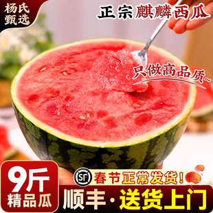 云南8424麒麟西瓜新鲜水果当季无籽特大薄皮冰糖美都甜脆整箱包邮