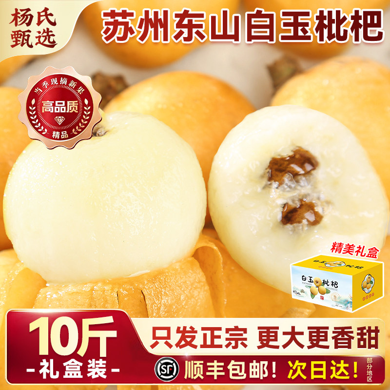 苏州东山白玉枇杷鲜果应当季水果新鲜大青种琵琶10斤礼盒现货顺丰
