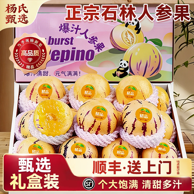 云南石林人参果树上熟