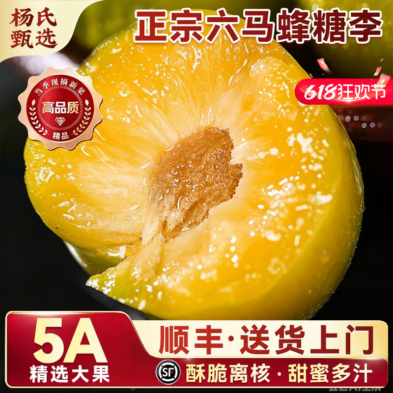 正宗贵州六马蜂糖李子新鲜水果应季特大脱骨蜂蜜脆甜整箱顺丰礼盒