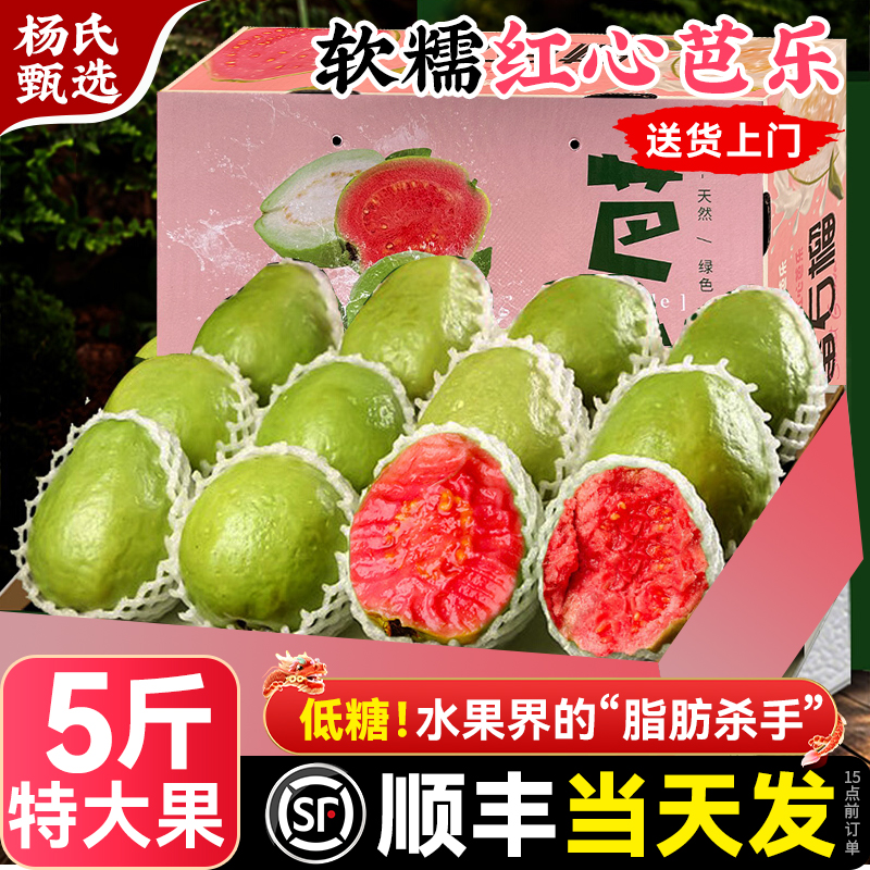 【顺丰礼盒】5斤红心芭乐低糖