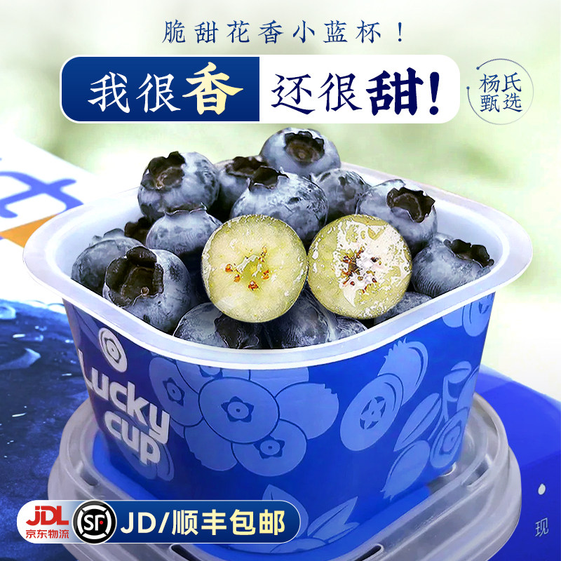 云南高山花香蓝莓新鲜水果小懒杯礼盒当季现摘特大果整箱l顺丰25