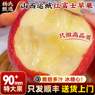 现摘新鲜水果冰糖心甜 顺丰山西运城红富士苹果10斤当季 90mm