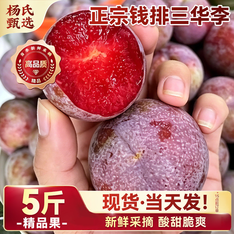 正宗广东钱排红心三华李子5斤应季新鲜水果信宜翁特大脆甜源整箱