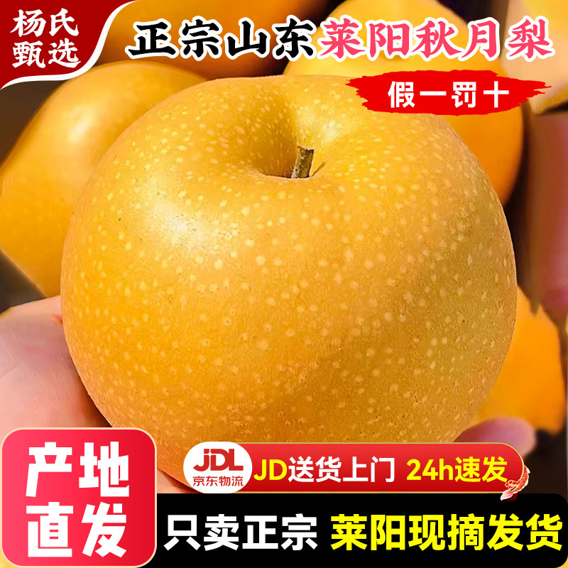 【莱阳产地直发】正宗秋月梨子礼盒装当季整箱新鲜应季水果旗舰店,水产肉类/新鲜蔬果/熟食,梨,淘宝优惠券,粉丝福利购,淘宝优惠卷