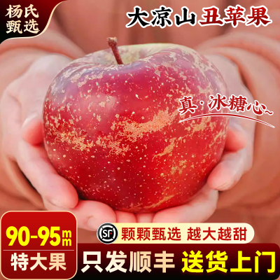 【90-95mm】 2025正宗大凉山丑苹果10斤新鲜水果冰糖心应当季整箱