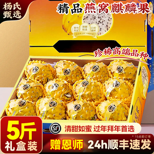 【赠恩师】精品礼盒海南燕窝果5斤装当季新鲜水果白心麒麟火龙果