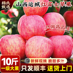 【一级果】顺丰山西运城红富士苹果10斤当季新鲜现摘水果冰糖心甜