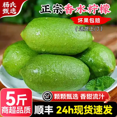 【5斤】正宗香水柠檬子弹头新鲜一级应季水果正宗无籽柠檬奶茶店