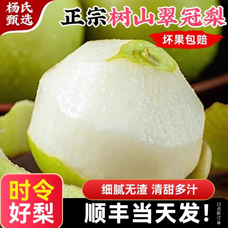 【时令现摘】正宗苏州树山翠冠梨子新鲜水果当季礼盒砀山脆蜜顺丰