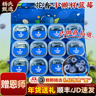 【赠恩师】云南高山花香蓝莓l25新鲜水果特大当季整箱小懒杯礼盒
