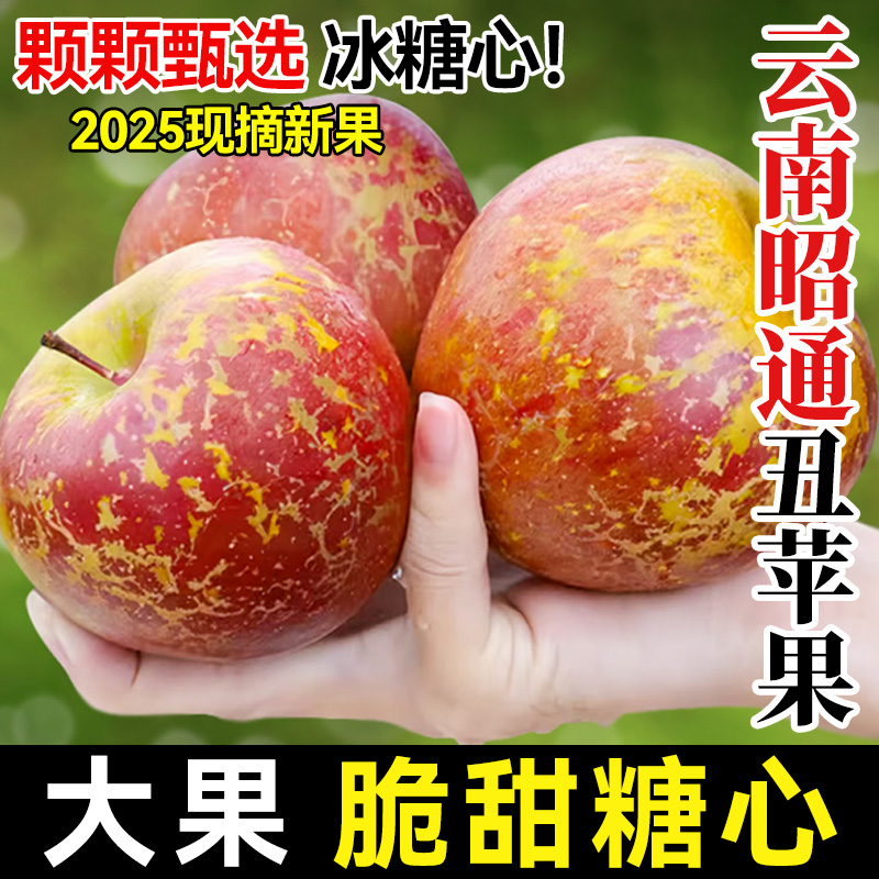 2025云南昭通糖心丑苹果