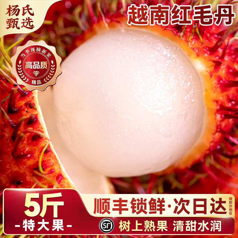 越南进口红毛丹|东南亚