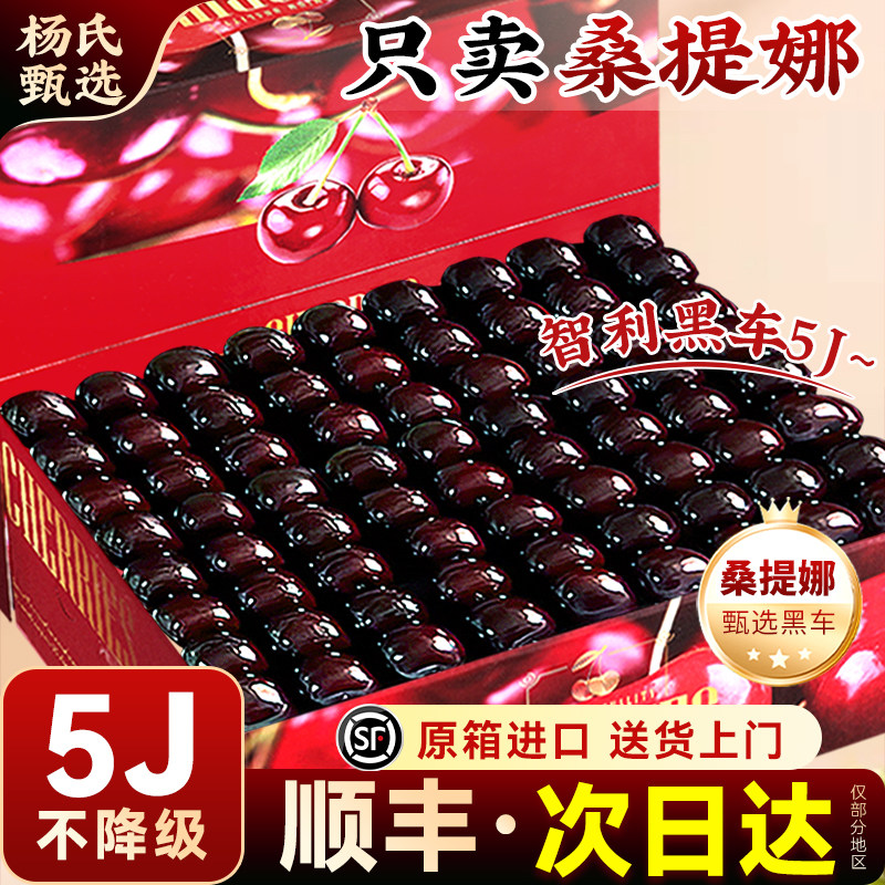 【顺丰礼盒】5斤5j车厘子桑提娜