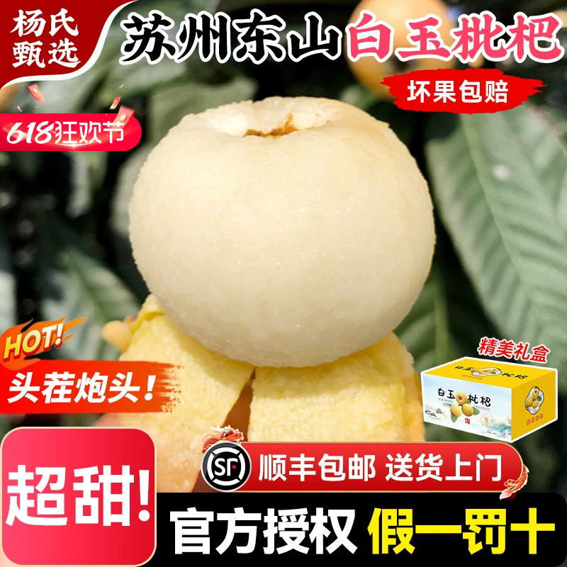 【顺丰端午礼盒】东山白玉枇杷