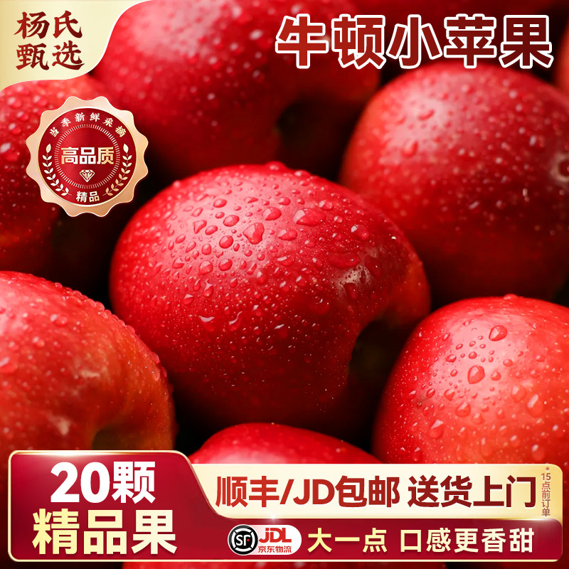 正宗南非牛顿苹果顺丰包邮