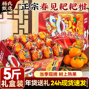 【当季现摘】礼盒春见耙耙柑整箱正宗5斤新鲜水果四丑粑八怪橘川