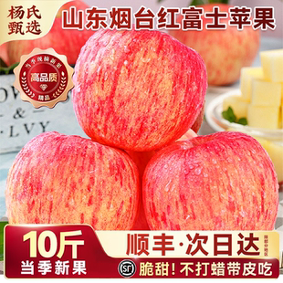 顺丰山东烟台红富士苹果10斤新鲜水果当季冰糖心栖霞平果正宗整箱