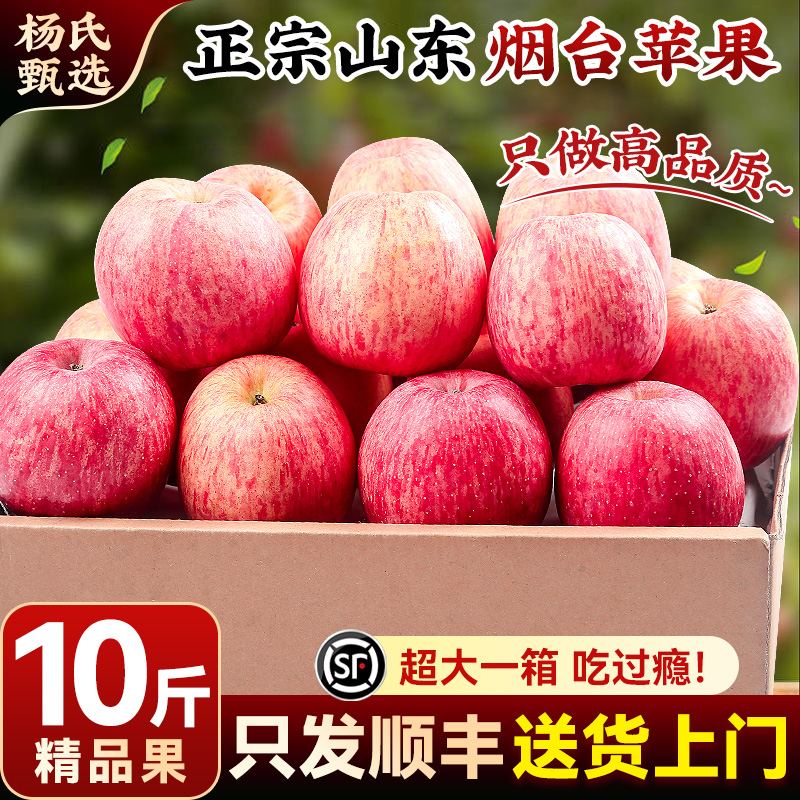 【10斤精品果】顺丰山东烟台红富士苹果水果当季冰糖心栖霞平果甜