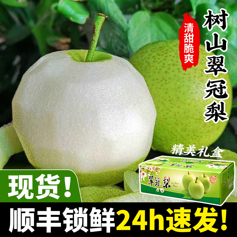 【顺丰礼盒】正宗苏州树山翠冠梨