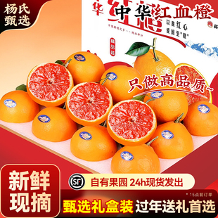 【新鲜现摘】正宗九月红秭归血橙子果冻新鲜水果应季大果产地直发