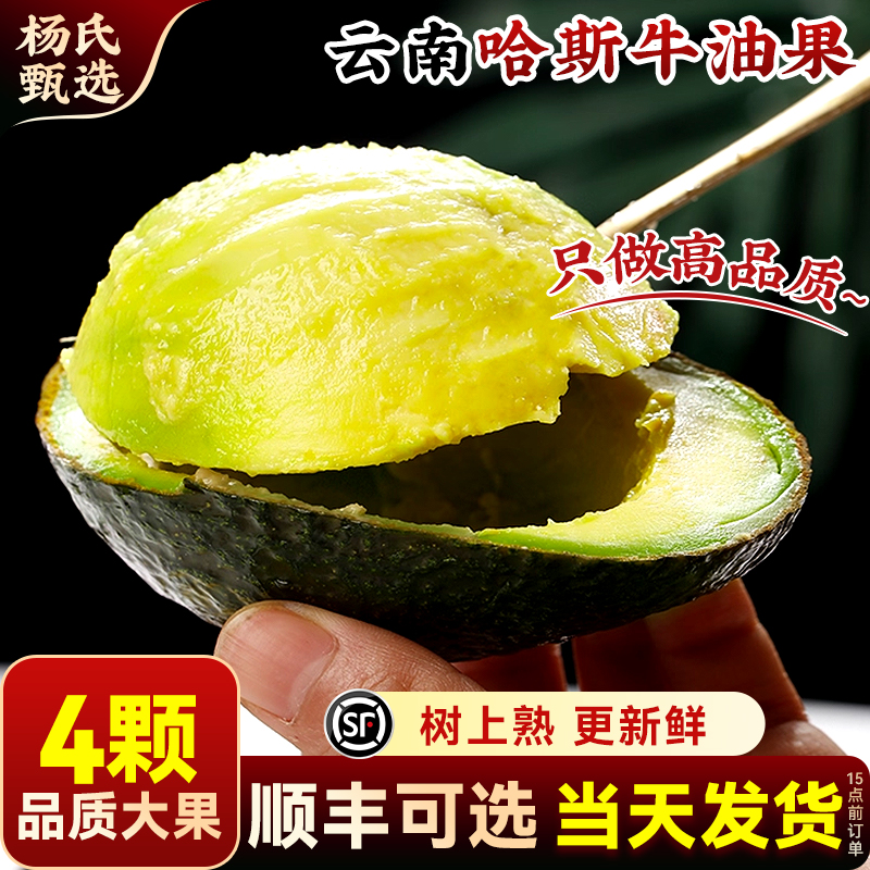 【4个装】正宗云南哈斯牛油果即食一级鳄梨当季新鲜水果孟连国产