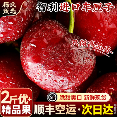 现货秒发智利进口车厘子顺丰包邮