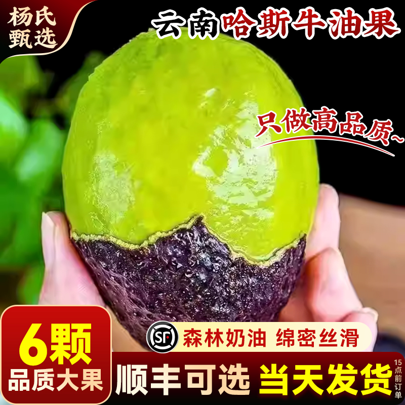 【6个装】正宗云南哈斯牛油果即食一级鳄梨当季新鲜水果孟连国产