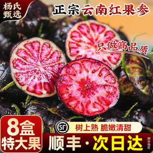 云南红果参鲜果蜘蛛果当季水果新鲜蓝莓现摘红生美果整箱顺丰包邮