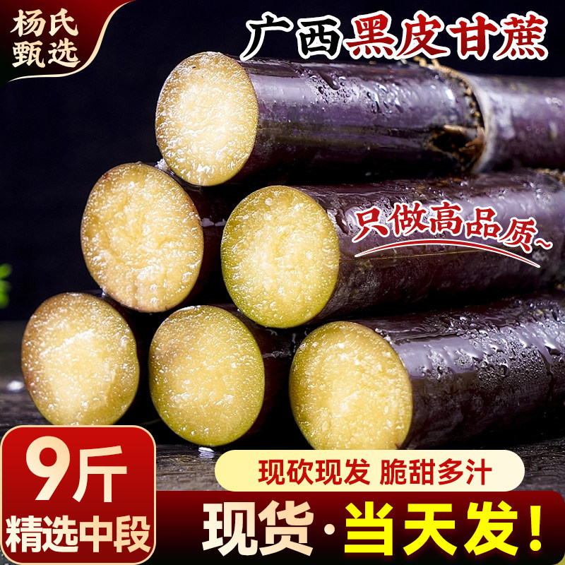 正宗广西黑皮甘蔗9斤新鲜水果时令当季整根中段一级甜柑整箱包邮