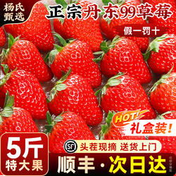 丹东99大草莓新鲜水果九九红颜奶油礼盒牛奶次日达辽宁东港旗舰店