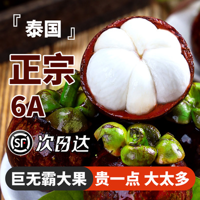 【6A】泰国进口山竹新鲜大果