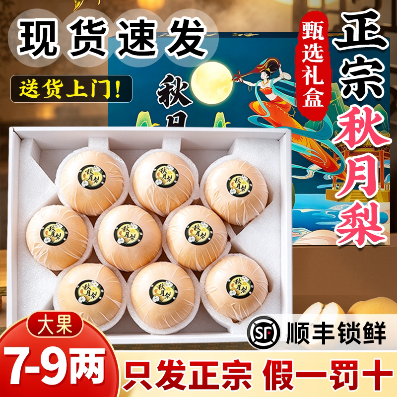 【7-9两大果】正宗秋月梨
