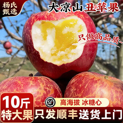 顺丰 2025正宗大凉山丑苹果10斤新鲜水果冰糖心应当季整箱红富士